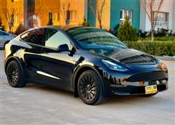 تسلا موديل Y